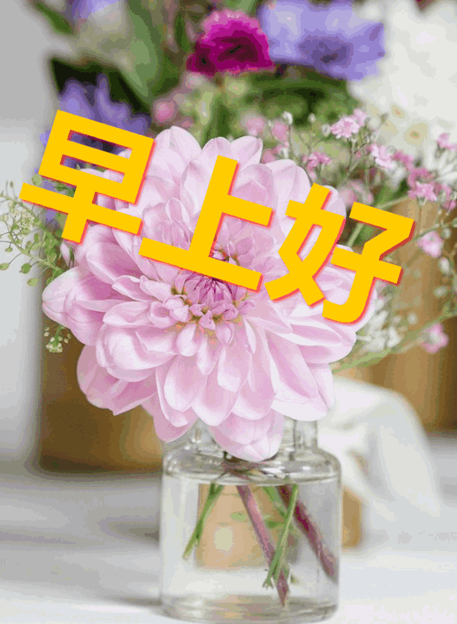 <b>嫁女短信：传递美好祝福的温馨方式</b>