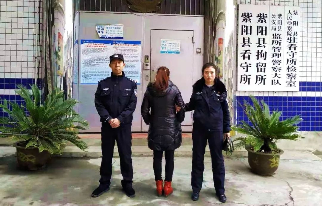 <b>青岛短信群发：高效精准的企业营销利器</b>